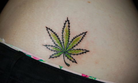 marijuana tattoo 30.09.2019 №022 -hemp (MARIJUANA) tattoo- tattoovalue.net