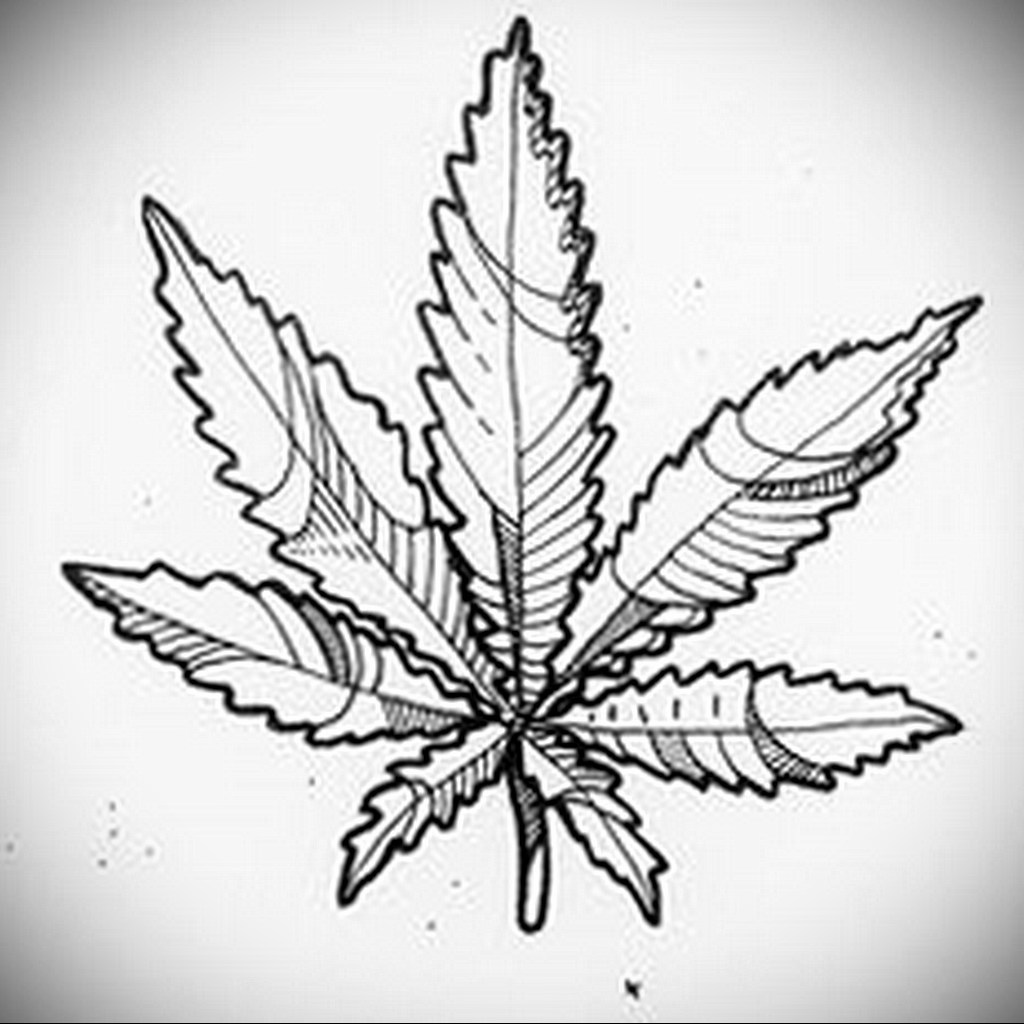 sketch marijuana tattoo 30.09.2019 №003 -hemp (MARIJUANA) tattoo- tattoovalue.net