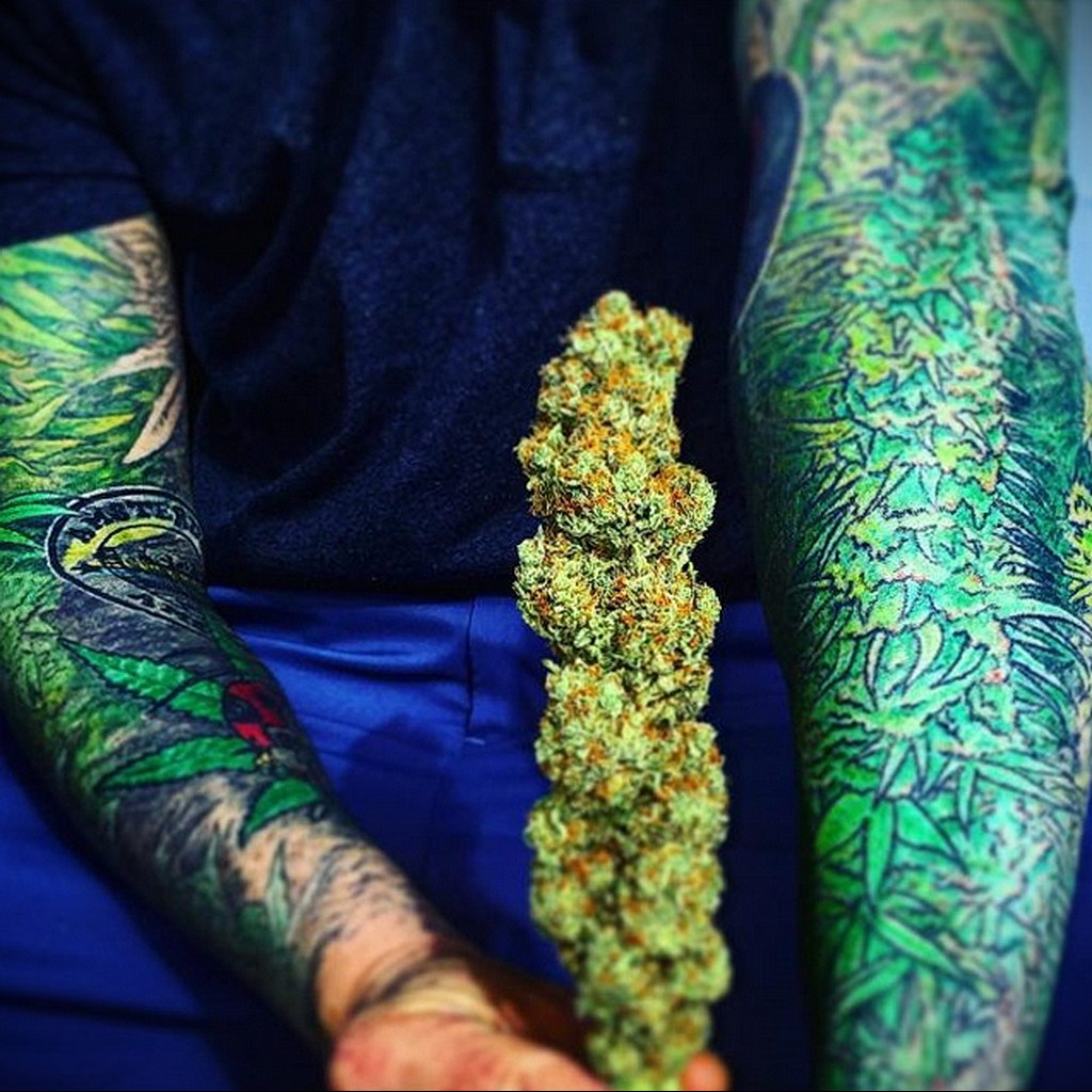 tattoo on the arm of marijuana 30.09.2019 №013 -hemp (MARIJUANA) tattoo- tattoovalue.net
