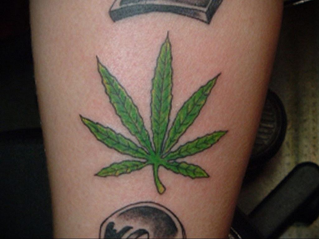 tattoo on the arm of marijuana 30.09.2019 №015 -hemp (MARIJUANA) tattoo- tattoovalue.net