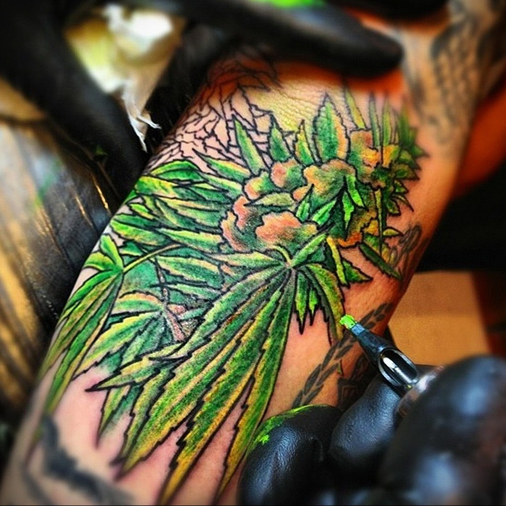 tattoo on the arm of marijuana 30.09.2019 №019 -hemp (MARIJUANA) tattoo- tattoovalue.net