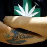 tattoo on the arm of marijuana 30.09.2019 №021 -hemp (MARIJUANA) tattoo- tattoovalue.net