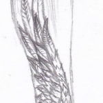 Photo example drawing of a tattoo with Hermes wings 07.10.2019 №023 -tattoo- tattoovalue.net