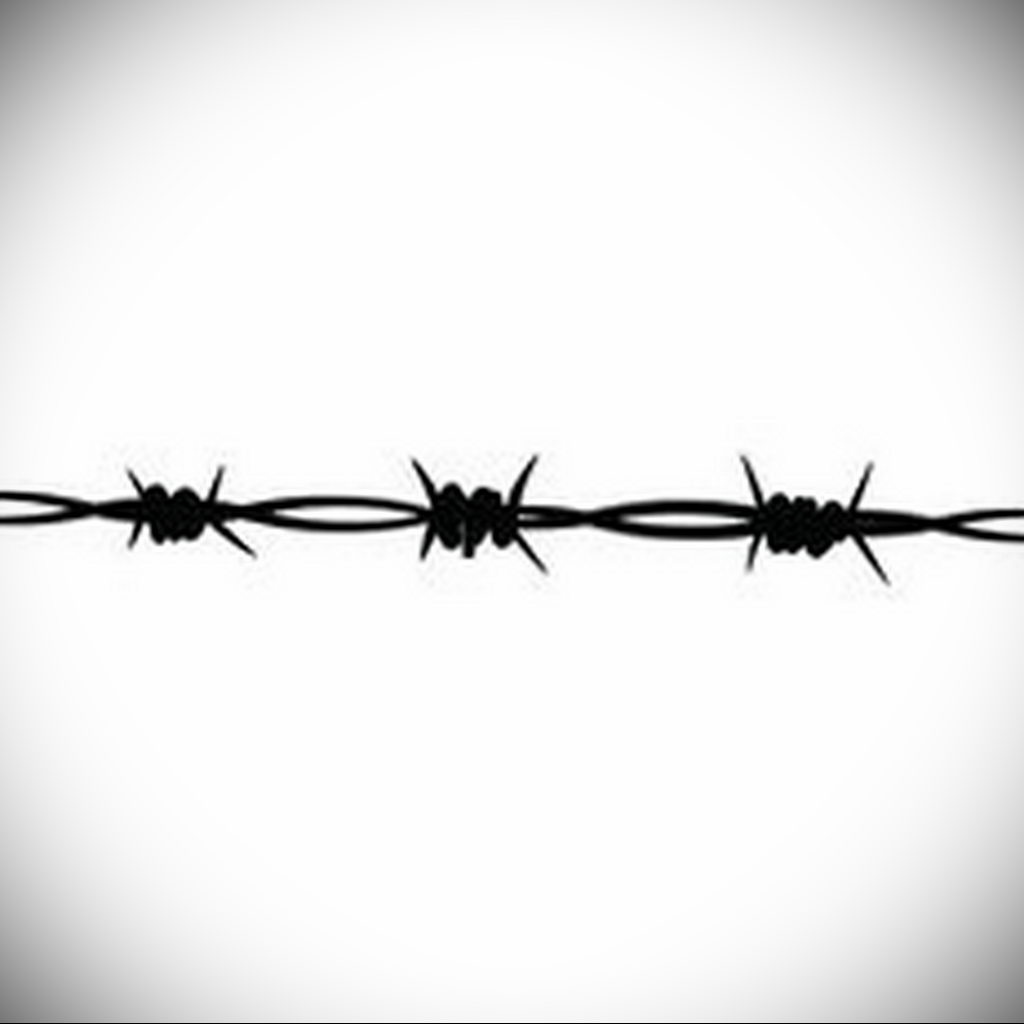 Featured image of post Barb Wire Fence Drawing Download barbed wire fence stock vectors