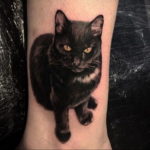black cat tattoo 03.12.2019 №015 -cat tattoo- tattoovalue.net