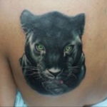 black cat tattoo 03.12.2019 №025 -cat tattoo- tattoovalue.net