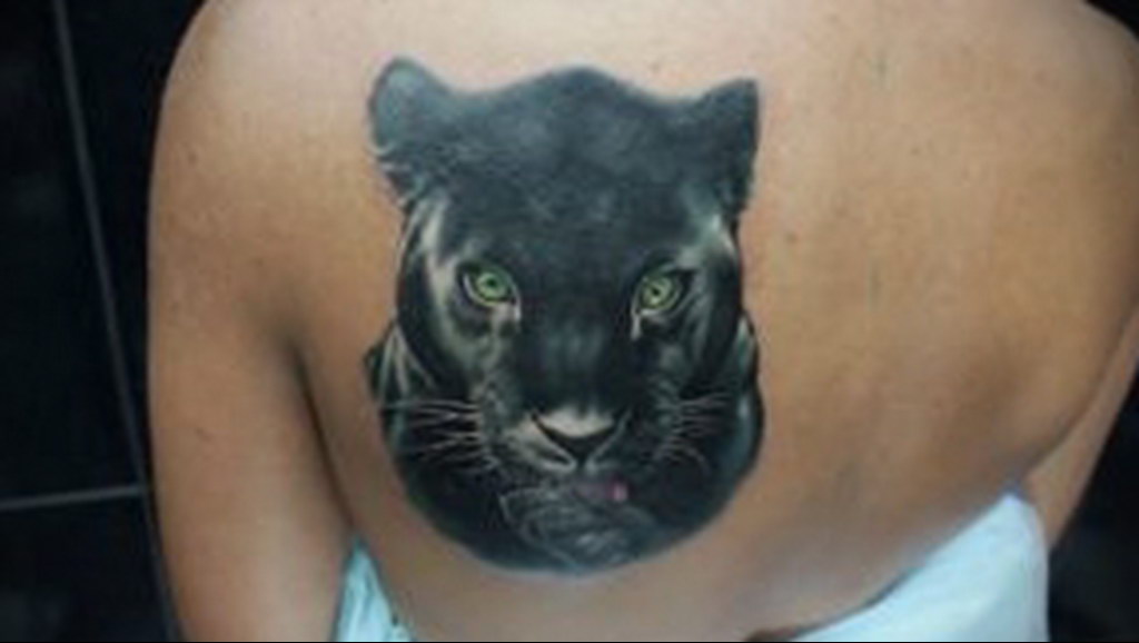 black cat tattoo 03.12.2019 №025 -cat tattoo- tattoovalue.net