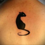 black cat tattoo 03.12.2019 №030 -cat tattoo- tattoovalue.net