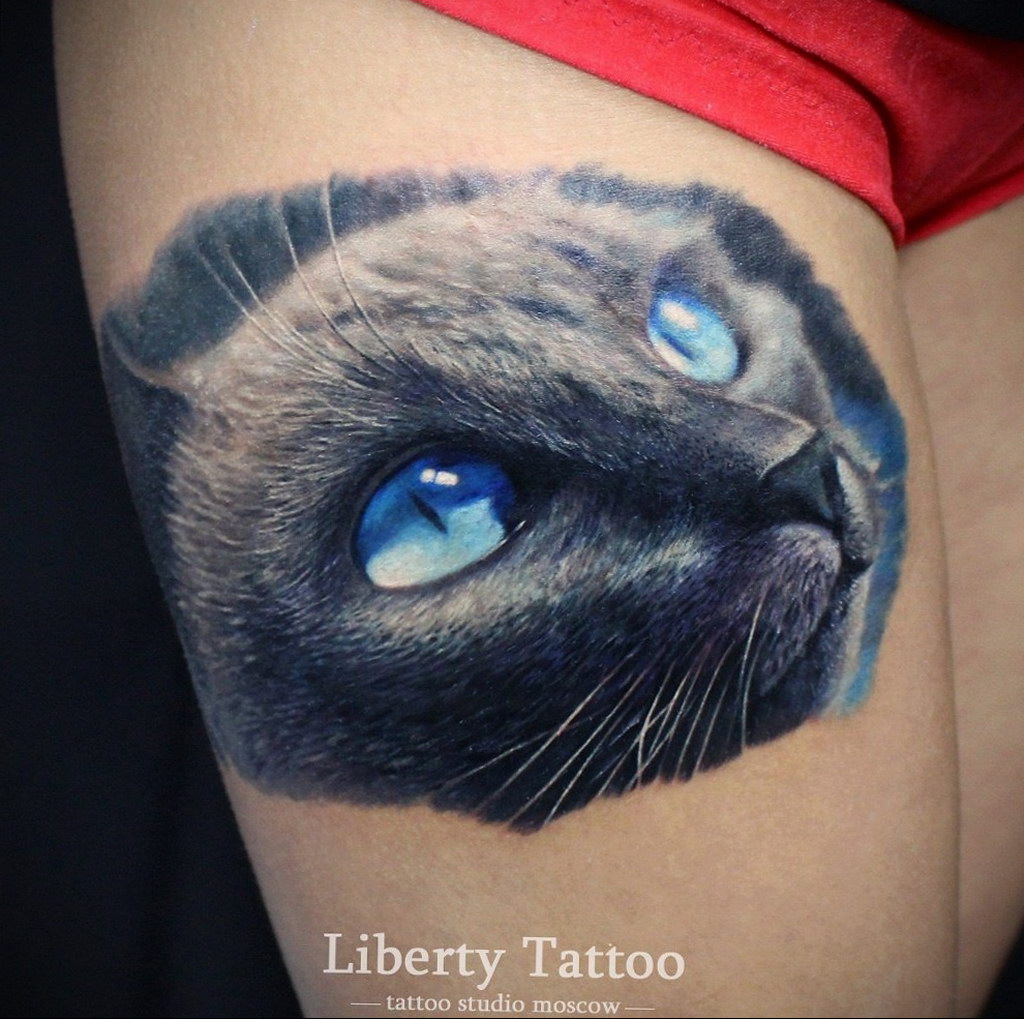 35 Cat Tattoos And Its Historical Meaning  Glaminaticom