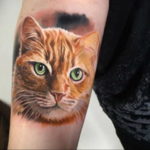 cat eye tattoo 03.12.2019 №022 -cat tattoo- tattoovalue.net