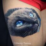 cat eye tattoo 03.12.2019 №003 -cat tattoo- tattoovalue.net