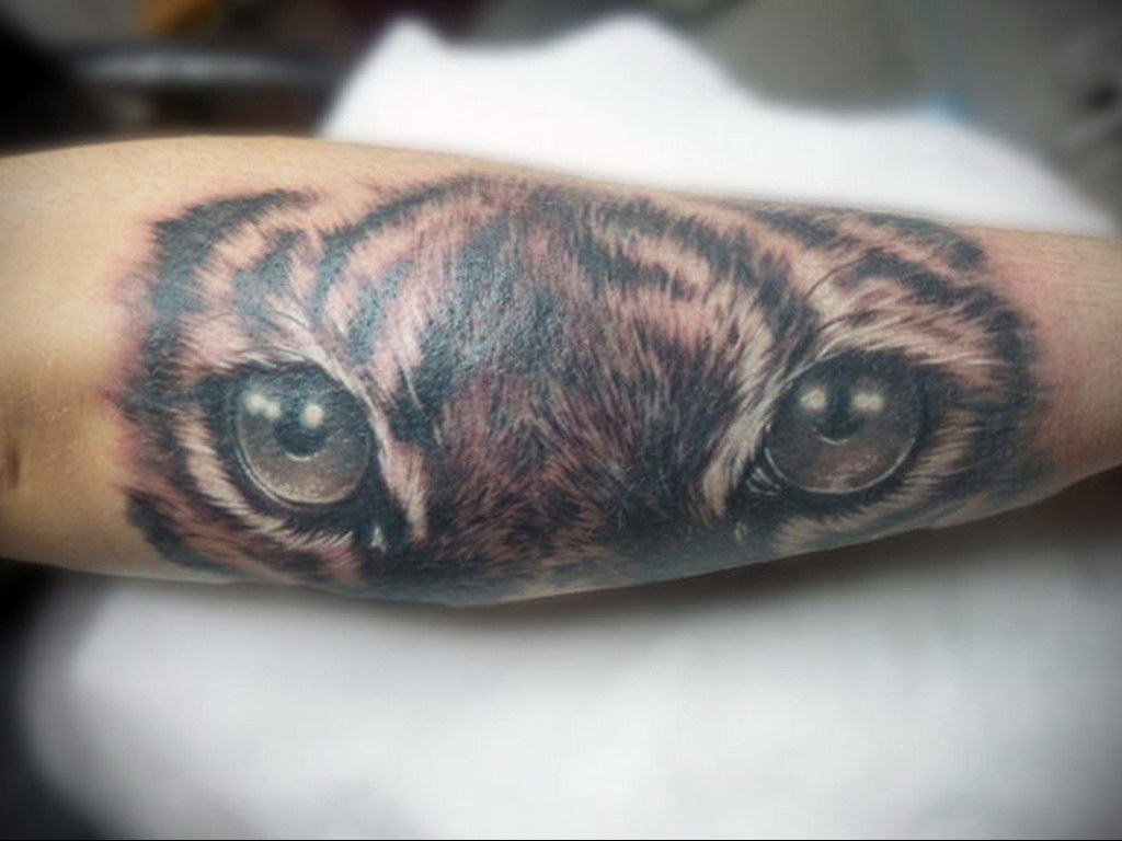 cat eye tattoo 03.12.2019 №006 -cat tattoo- tattoovalue.net