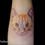 cat eye tattoo 03.12.2019 №011 -cat tattoo- tattoovalue.net
