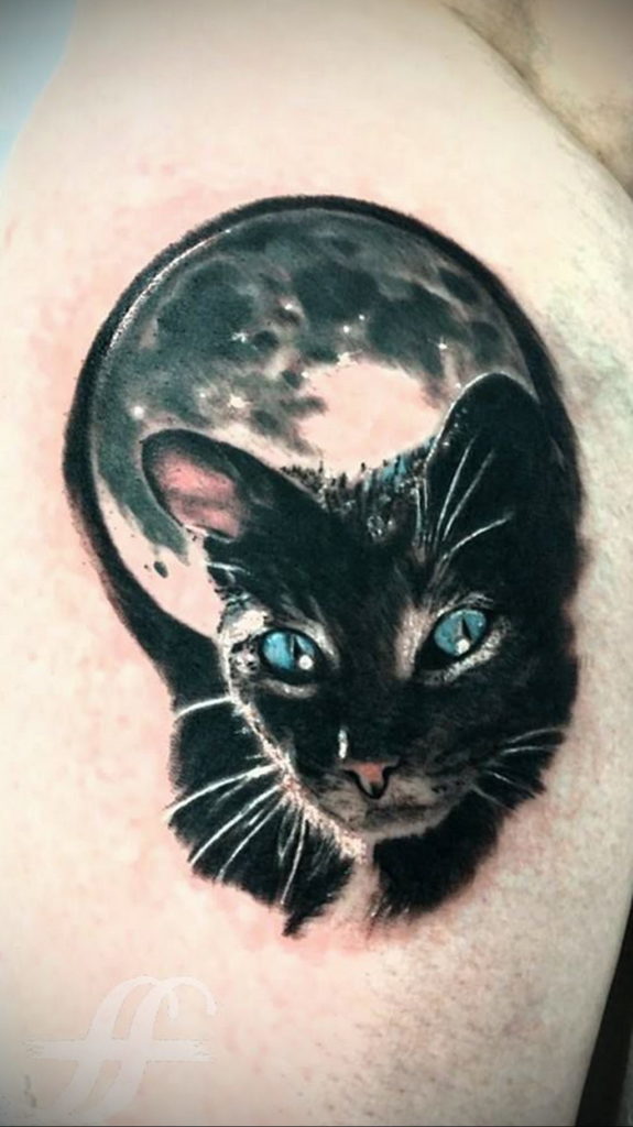 cat eye tattoo 03.12.2019 №014 -cat tattoo- tattoovalue.net