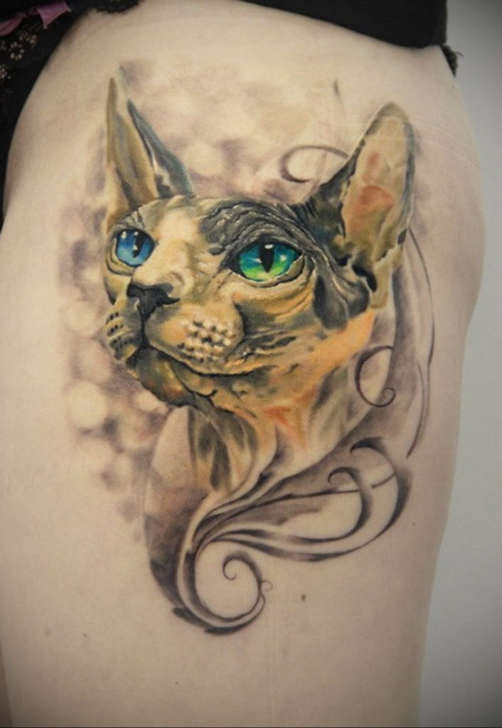 cat eye tattoo 03.12.2019 №016 -cat tattoo- tattoovalue.net