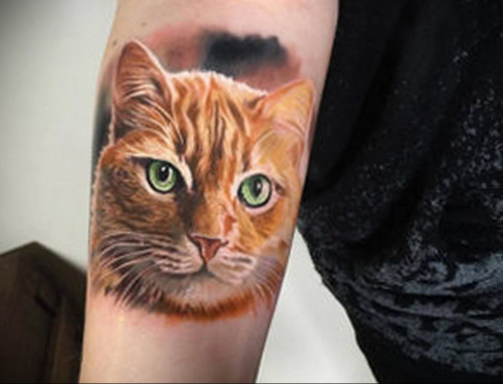 cat eye tattoo 03.12.2019 №022 -cat tattoo- tattoovalue.net