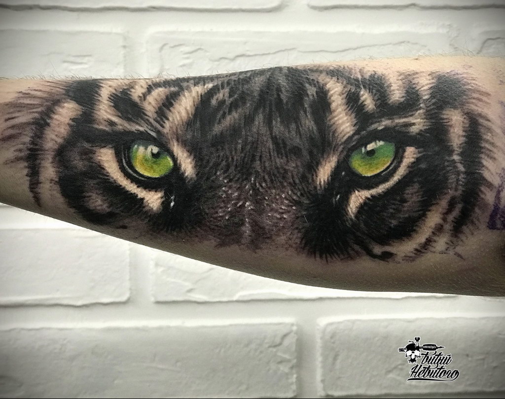 cat eye tattoo 03.12.2019 №026 -cat tattoo- tattoovalue.net
