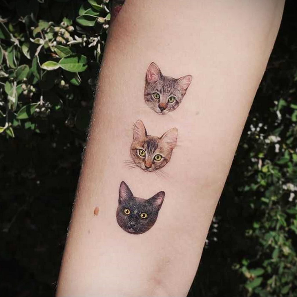 8 Bold Cat Head Tattoos  Tattoodo