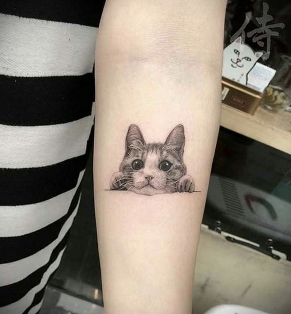 cat face tattoo 03.12.2019 №002 -cat tattoo- tattoovalue.net