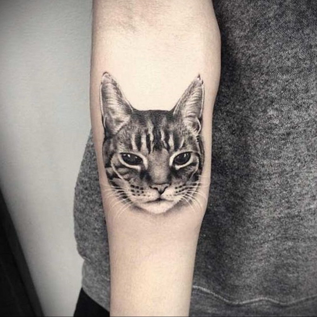 cat face tattoo 03.12.2019 №003 -cat tattoo- tattoovalue.net