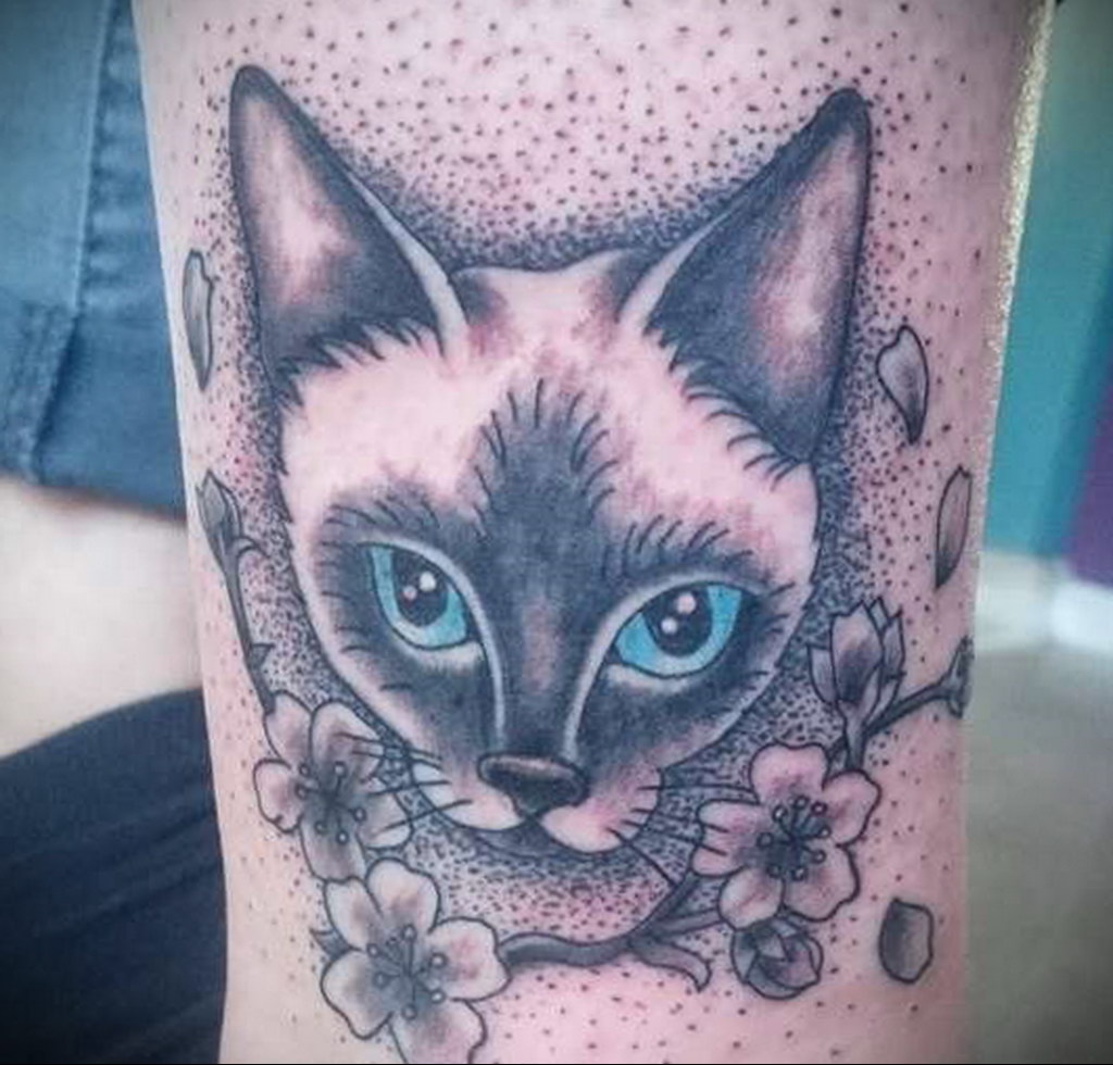 cat face tattoo 03.12.2019 №004 -cat tattoo- tattoovalue.net