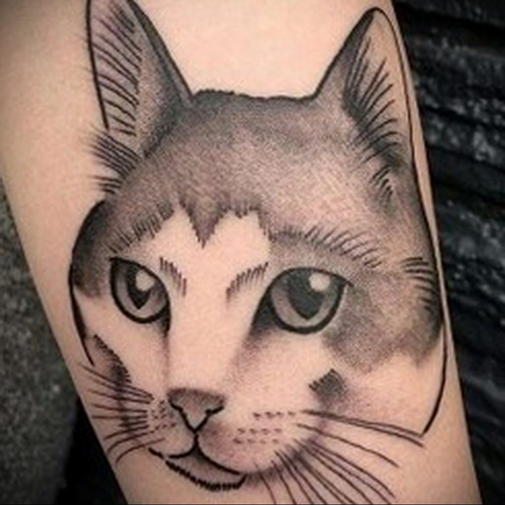 cat face tattoo 03.12.2019 №008 -cat tattoo- tattoovalue.net