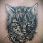cat face tattoo 03.12.2019 №010 -cat tattoo- tattoovalue.net