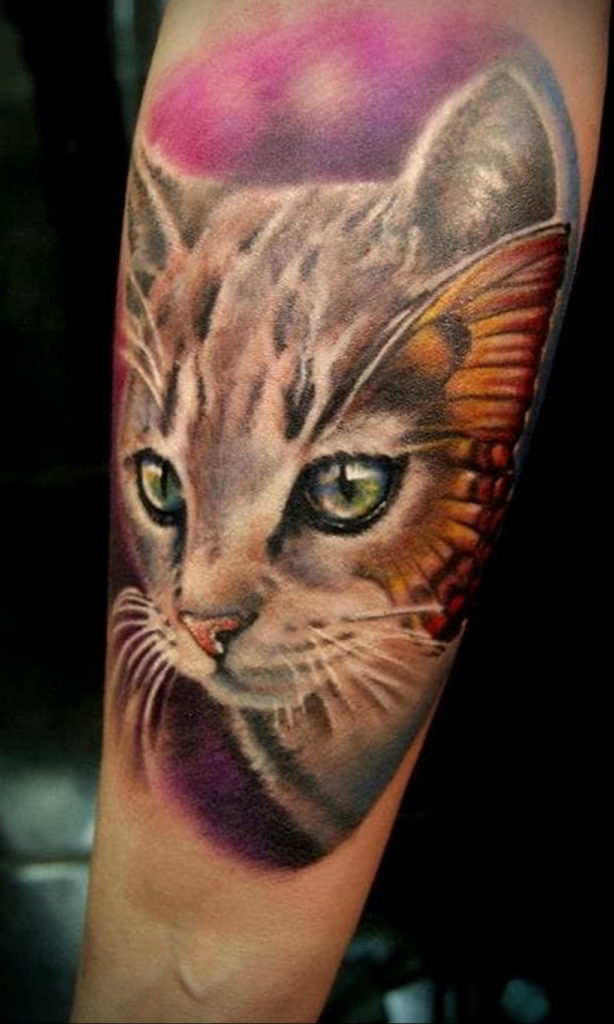 cat face tattoo 03.12.2019 №015 -cat tattoo- tattoovalue.net