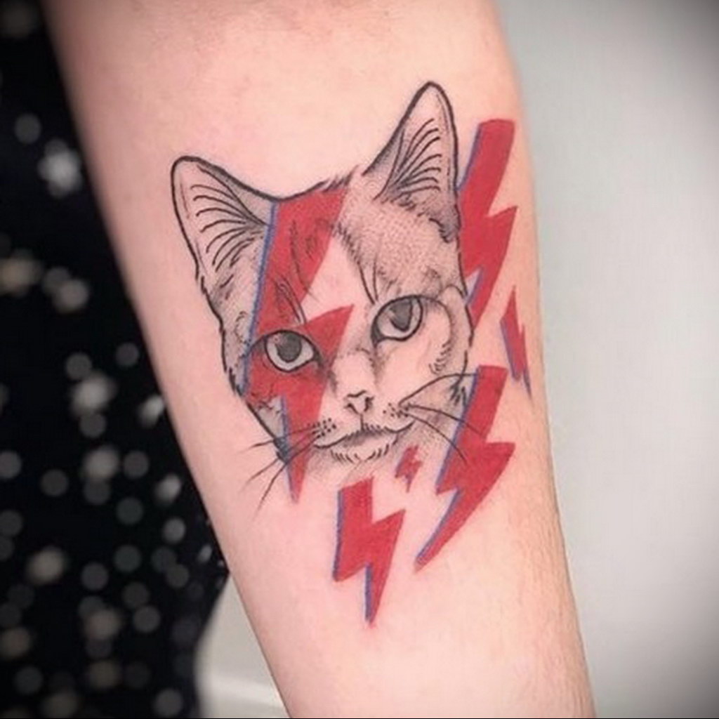 cat face tattoo 03.12.2019 №022 -cat tattoo- tattoovalue.net