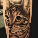 cat face tattoo 03.12.2019 №028 -cat tattoo- tattoovalue.net