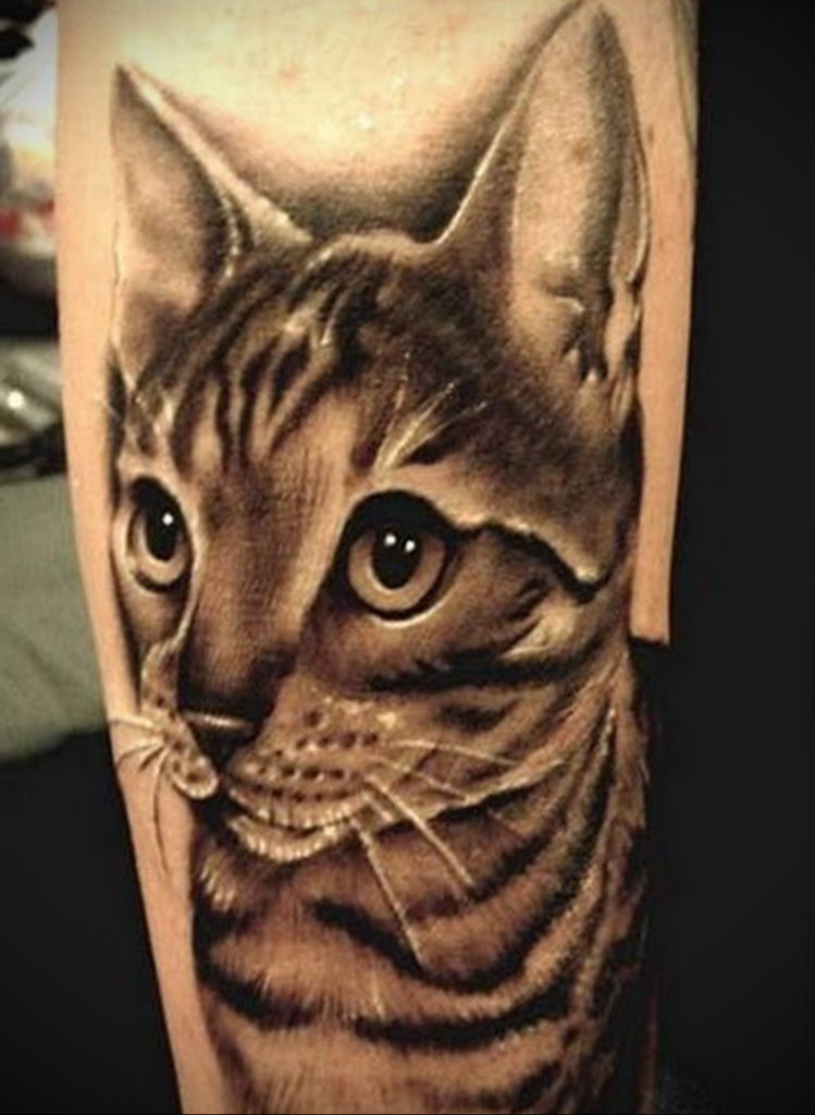 cat face tattoo 03.12.2019 №028 -cat tattoo- tattoovalue.net