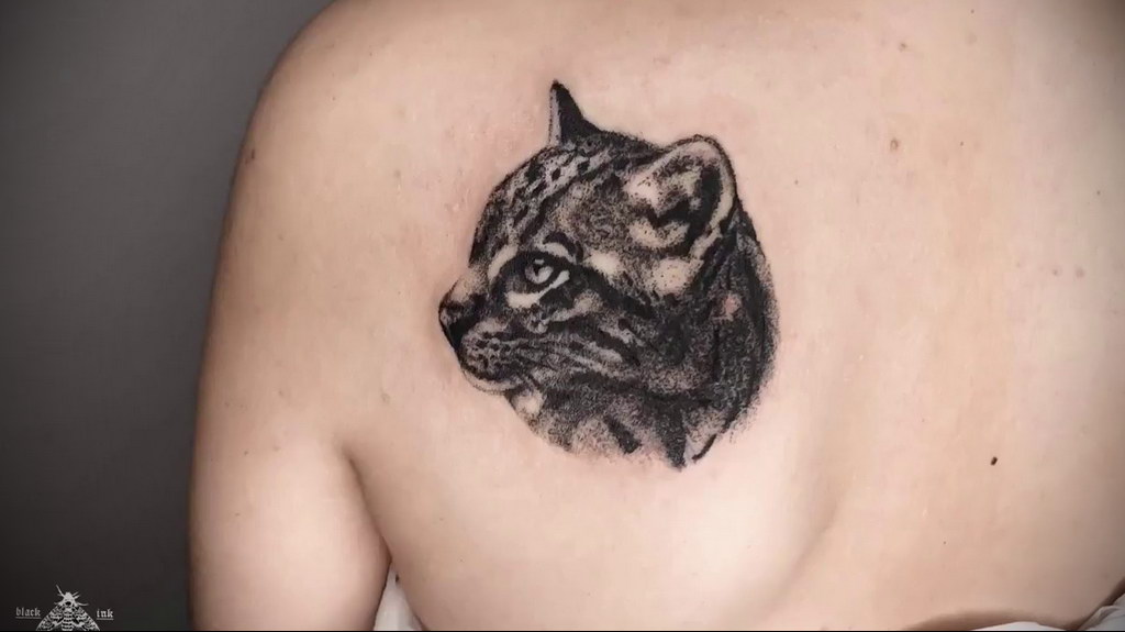 cat face tattoo 03.12.2019 №031 -cat tattoo- tattoovalue.net