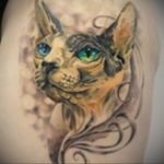 cat face tattoo 03.12.2019 №038 -cat tattoo- tattoovalue.net