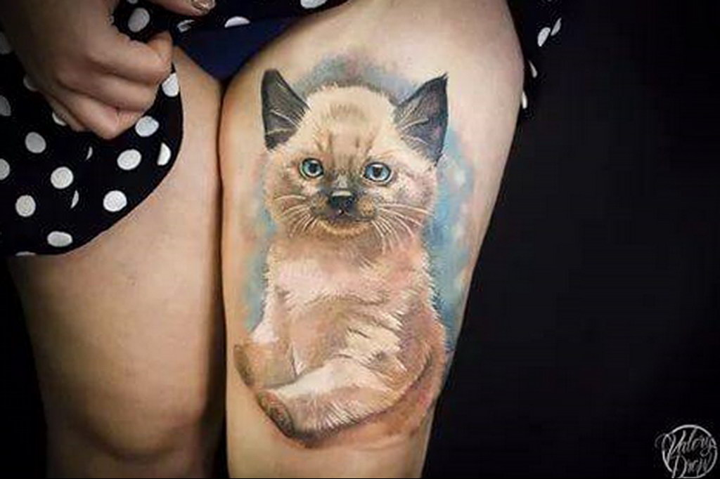 cat face tattoo 03.12.2019 №044 -cat tattoo- tattoovalue.net