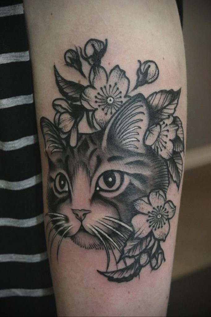 cat face tattoo 03.12.2019 №048 -cat tattoo- tattoovalue.net