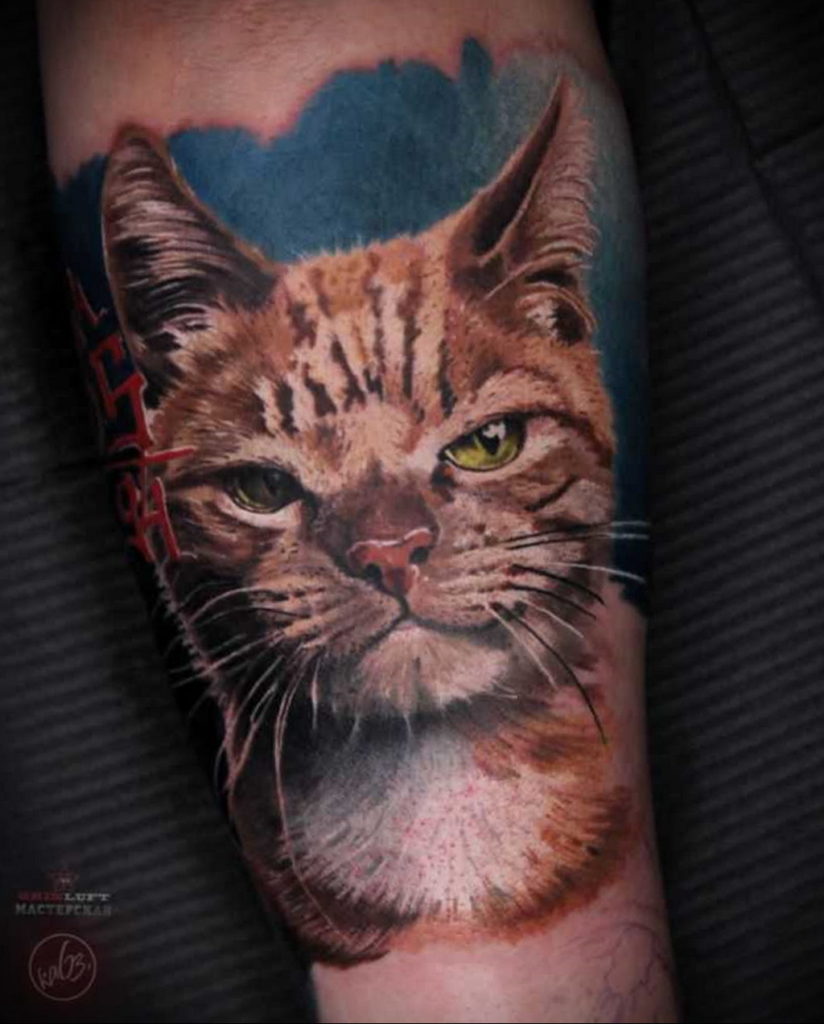 cat face tattoo 03.12.2019 №051 -cat tattoo- tattoovalue.net