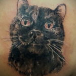 cat face tattoo 03.12.2019 №052 -cat tattoo- tattoovalue.net