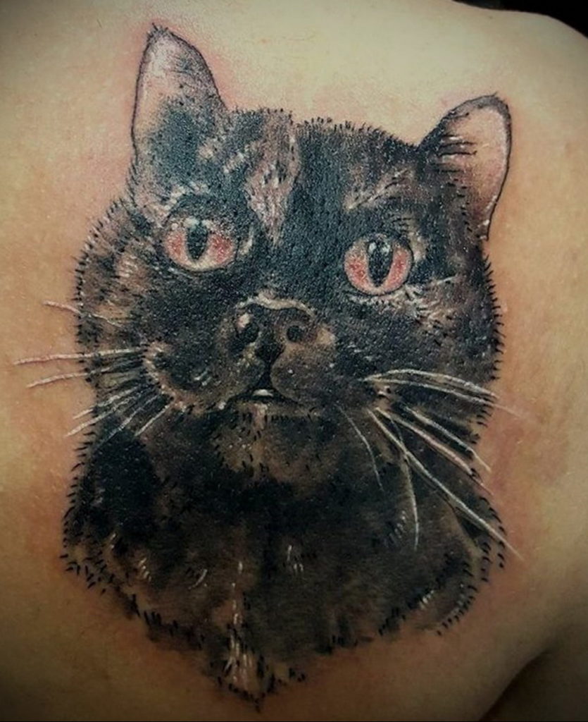 cat face tattoo 03.12.2019 №052 -cat tattoo- tattoovalue.net
