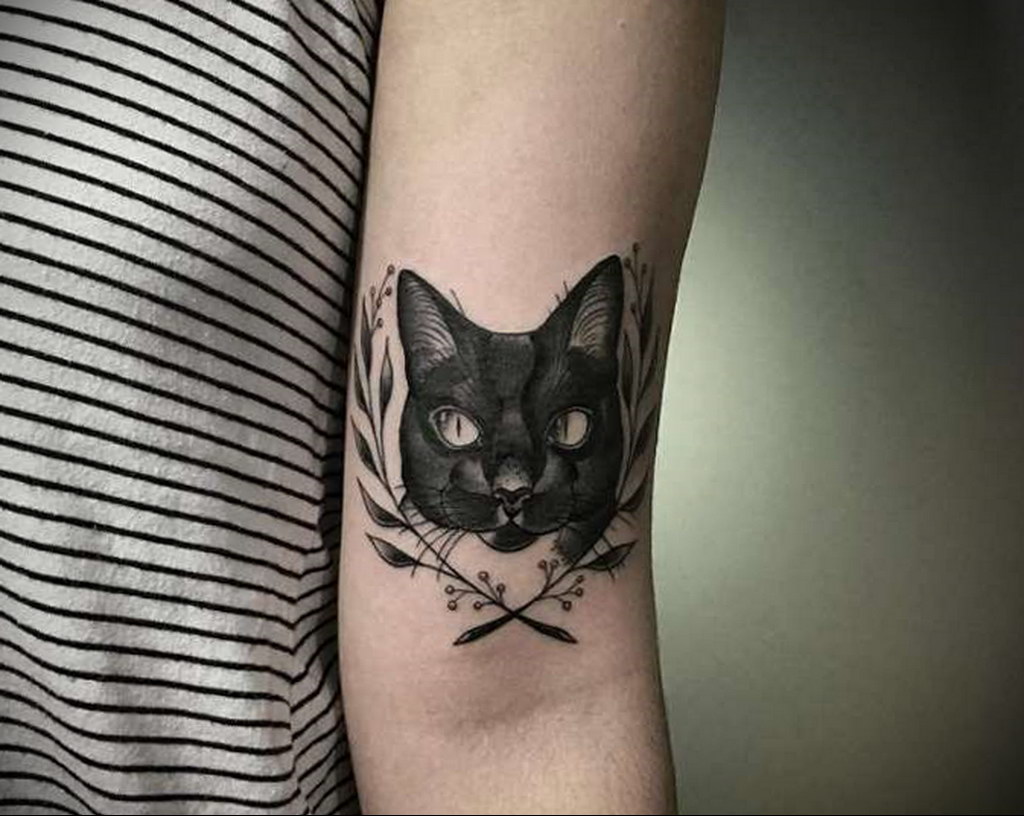 cat face tattoo 03.12.2019 №053 -cat tattoo- tattoovalue.net