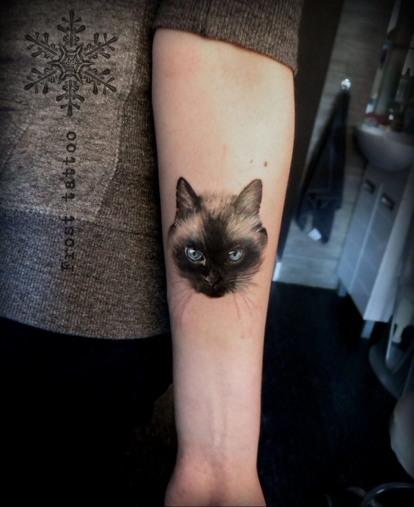 cat face tattoo 03.12.2019 №056 -cat tattoo- tattoovalue.net