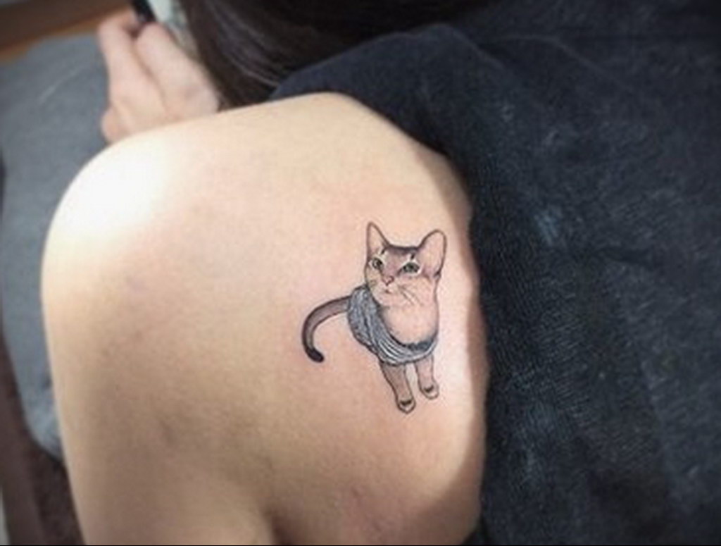 cat tattoo for girls 03.12.2019 №011 -cat tattoo- tattoovalue.net