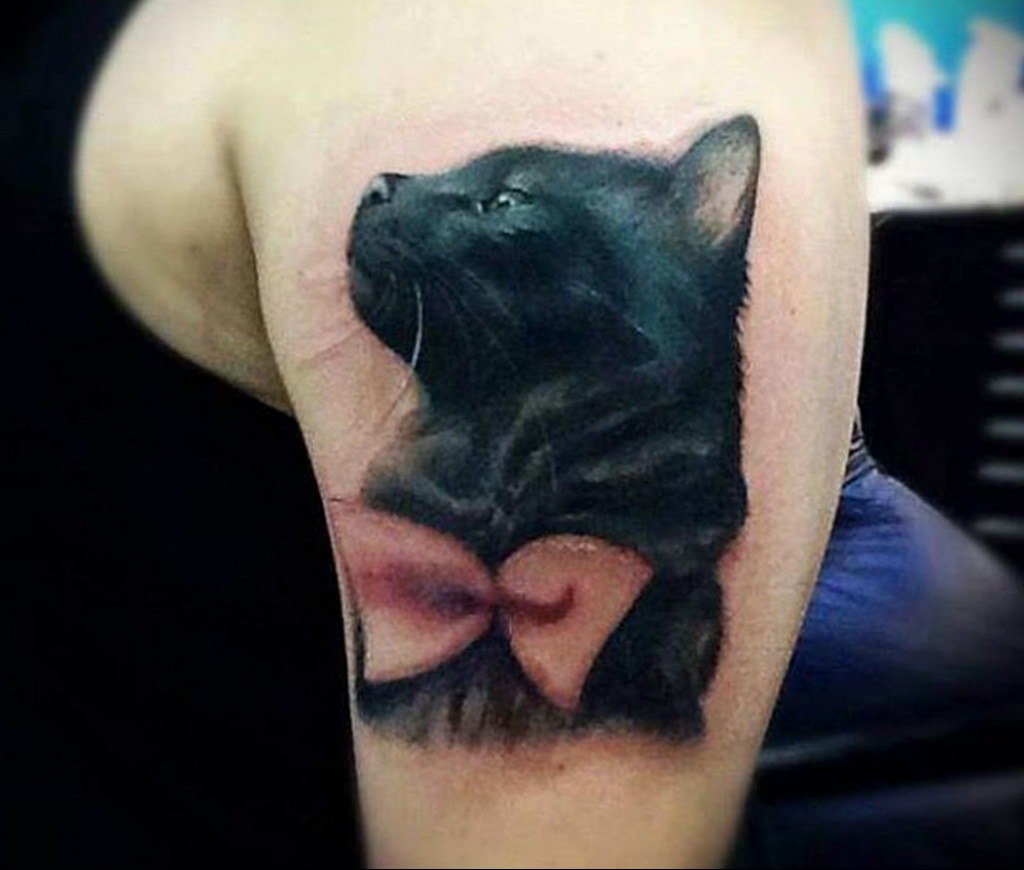 cat tattoo for girls 03.12.2019 №019 -cat tattoo- tattoovalue.net