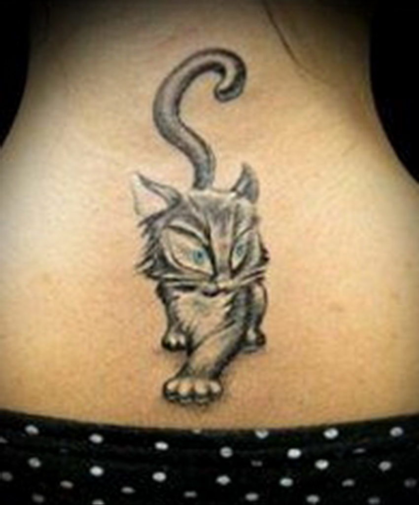 cat tattoo for girls 03.12.2019 №034 -cat tattoo- tattoovalue.net