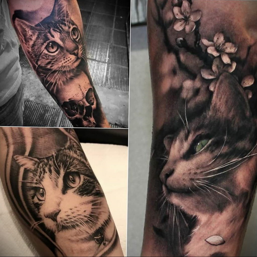 cat tattoo for girls 03.12.2019 №035 -cat tattoo- tattoovalue.net