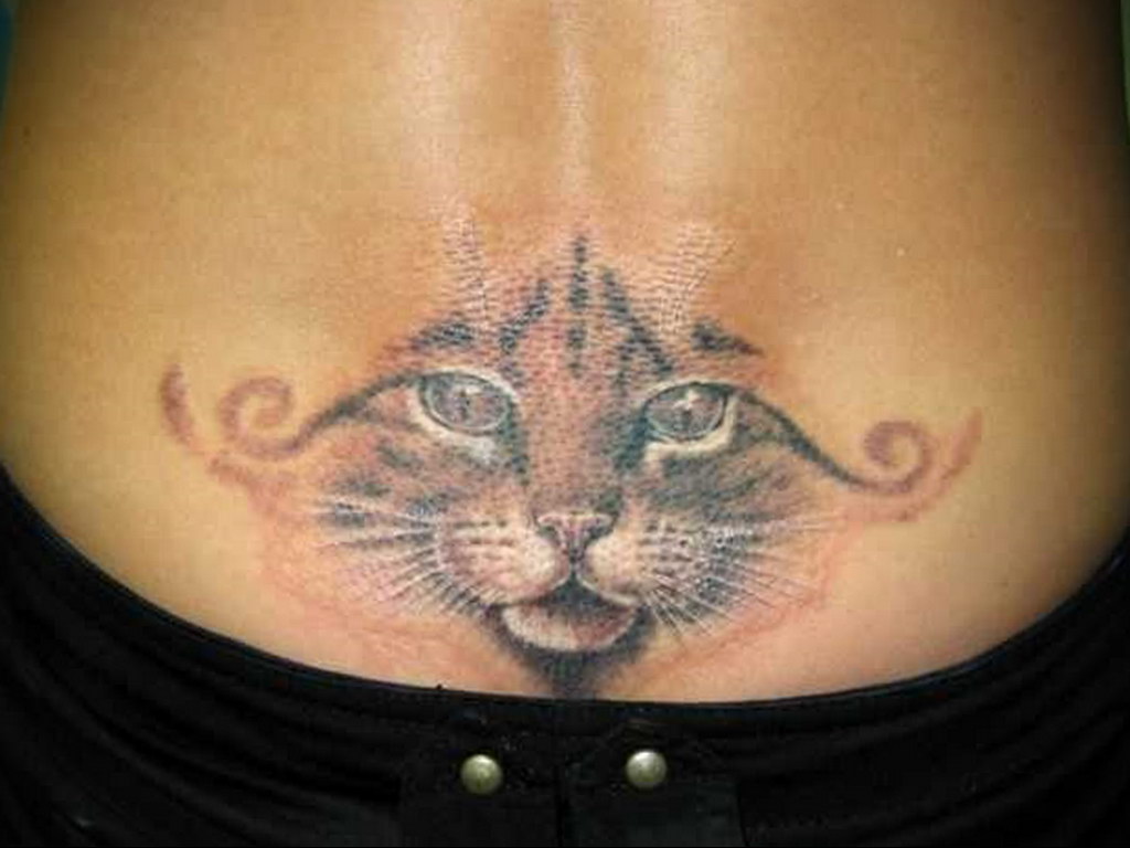 cat tattoo for girls 03.12.2019 №038 -cat tattoo- tattoovalue.net
