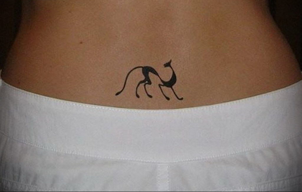 cat tattoo for girls 03.12.2019 №042 -cat tattoo- tattoovalue.net
