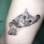 cat tattoo on hand 03.12.2019 №009 -cat tattoo- tattoovalue.net