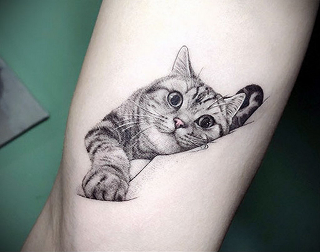 cat tattoo on hand 03.12.2019 №009 -cat tattoo- tattoovalue.net
