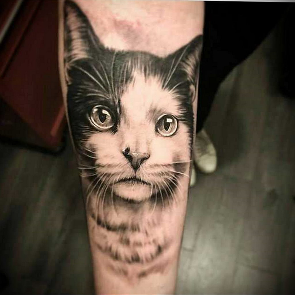 cat tattoo on hand 03.12.2019 №010 -cat tattoo- tattoovalue.net
