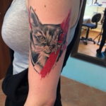 cat tattoo on hand 03.12.2019 №020 -cat tattoo- tattoovalue.net